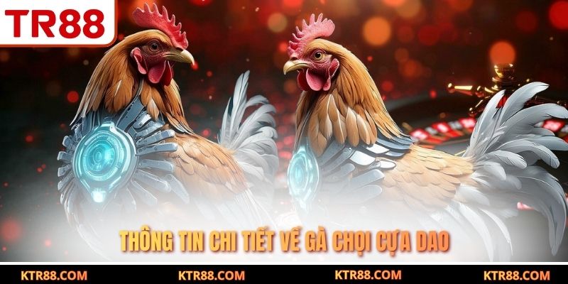 Thông tin chi tiết về gà chọi cựa dao